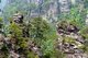 China: Quartzite sandstone pillars and peaks, Wulingyuan Scenic Area (Zhangjiajie), Hunan Province